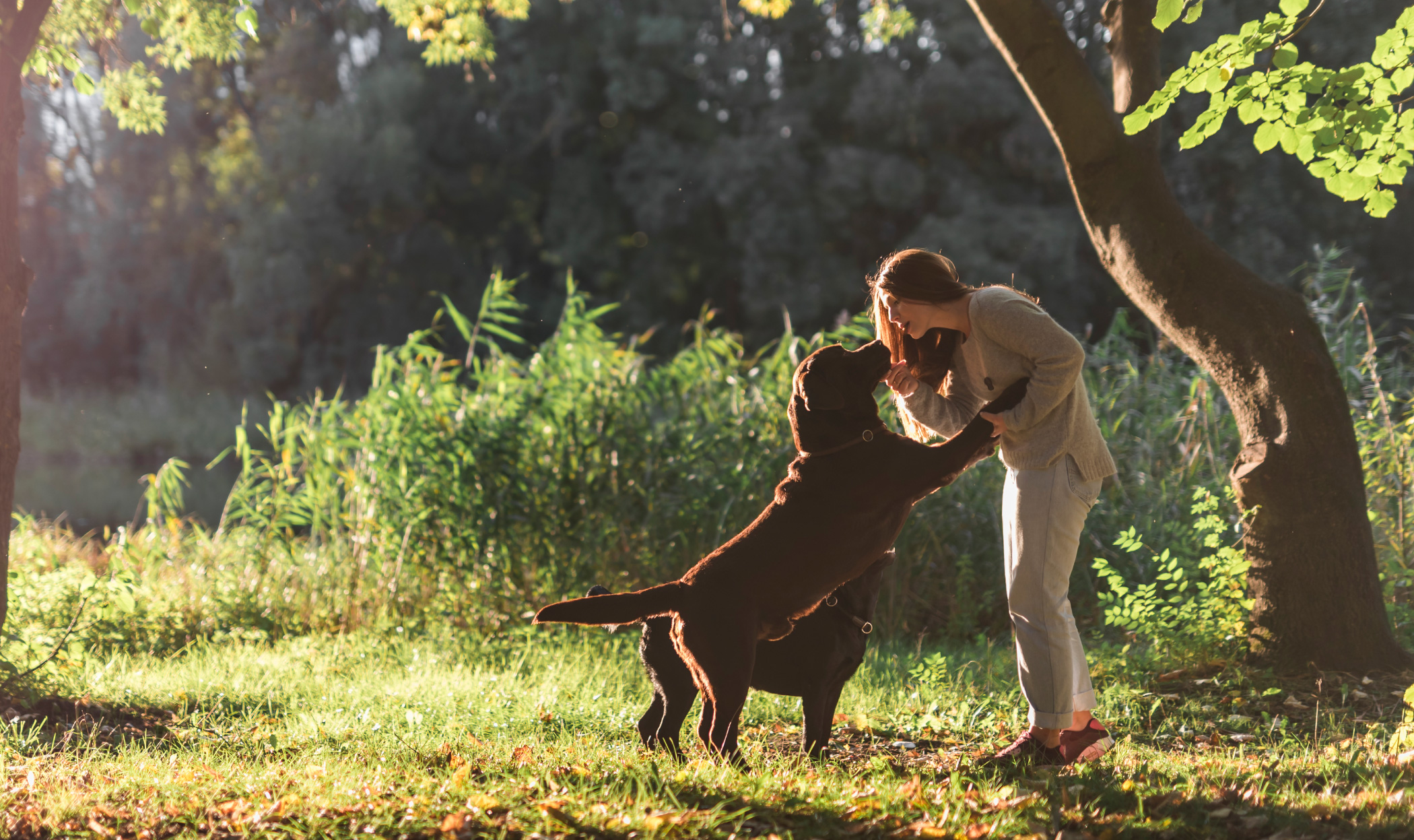 Come capire se il tuo cane ti ama, segnali e comportamenti