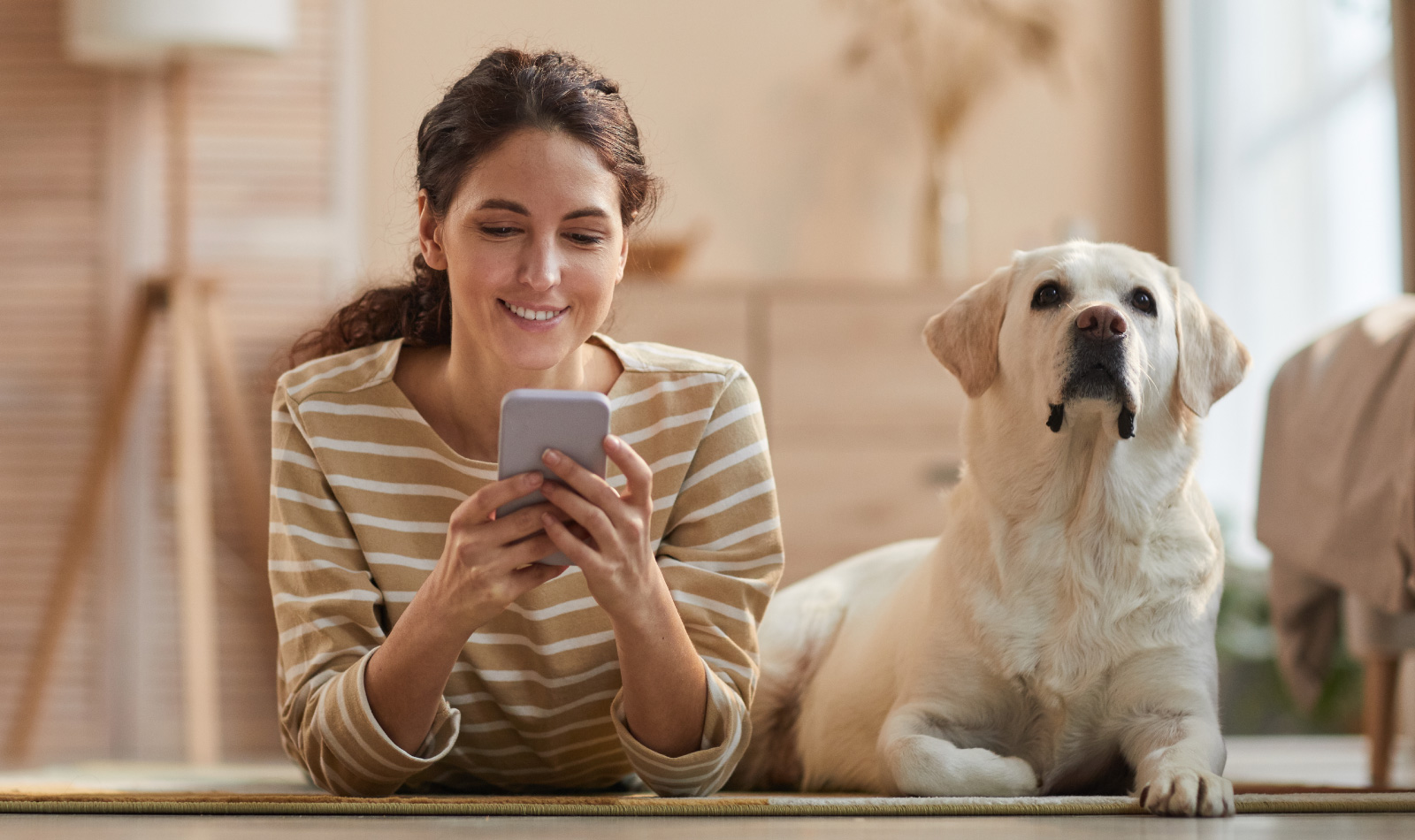 Insegnare al cane a non abbaiare durante le telefonate