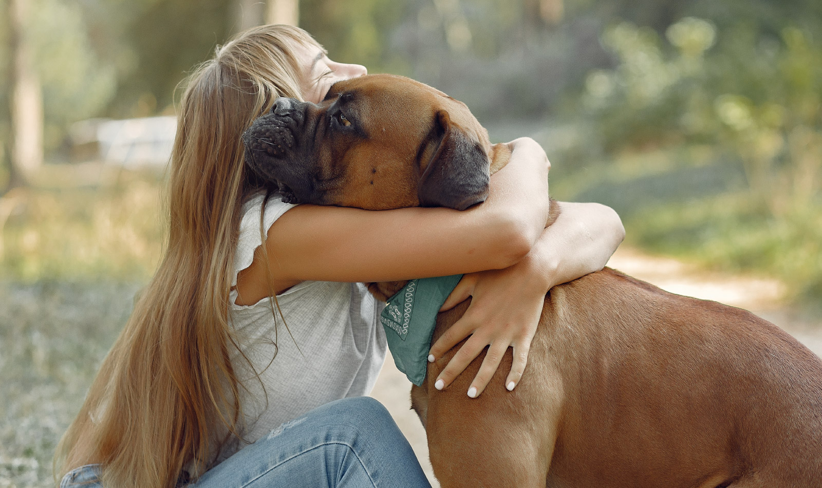 Capire le emozioni dei cani, siamo davvero così bravi? Lo studio