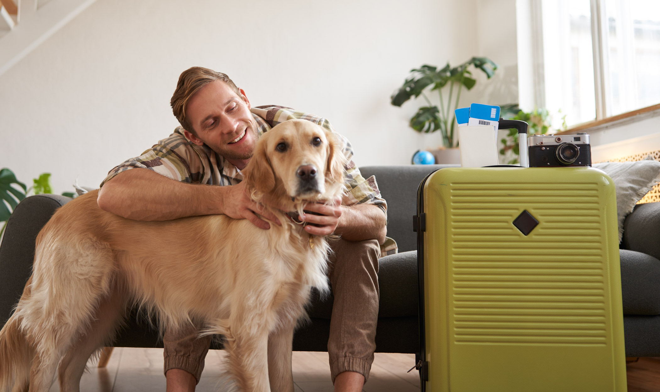 I cani dovrebbero viaggiare in aereo? Pro e contro e cosa succederà in futuro