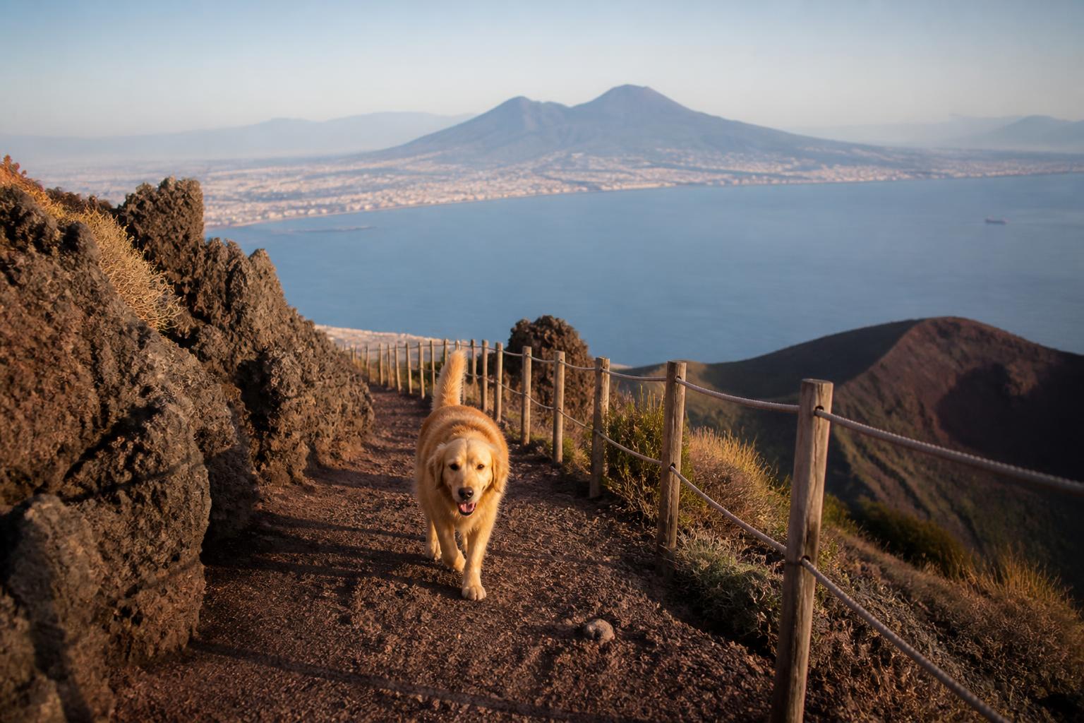 Passeggiate con il cane sul Vesuvio: orari giusti e percorsi per evitare il caldo
